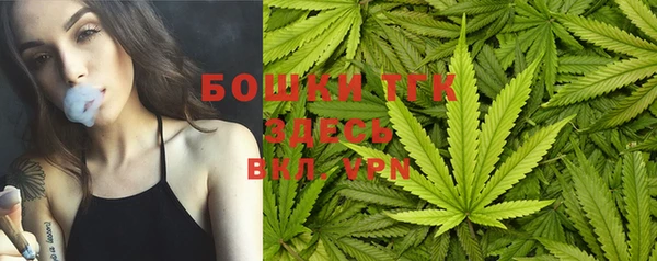 тгк Верея