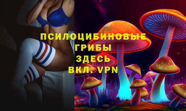 spice Струнино