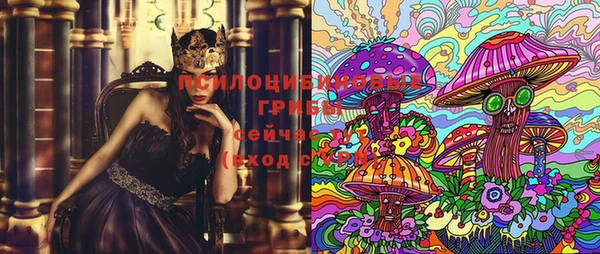 тгк Верея